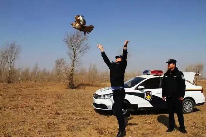 杭州富阳：打造全省首个涉案野生动物保护管理中心(图9)