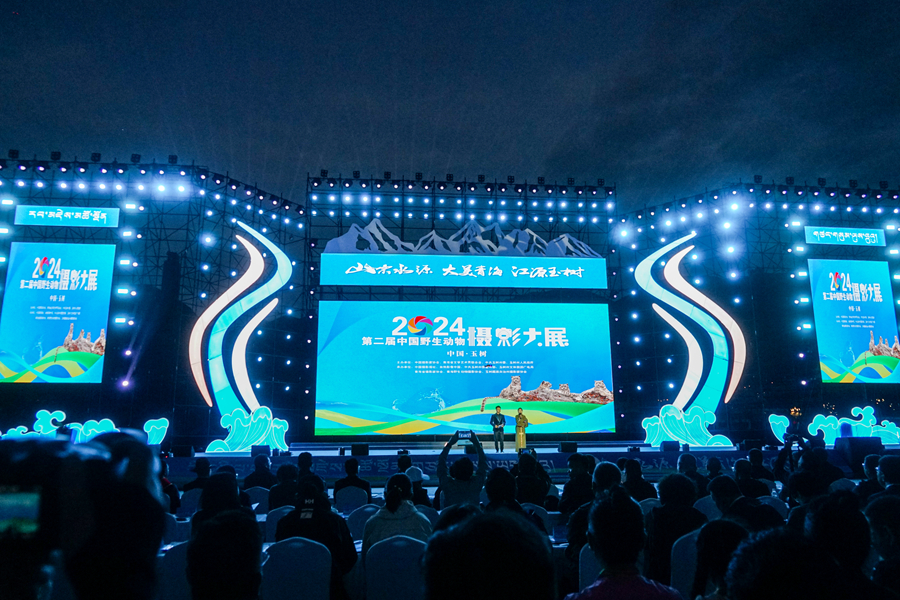 九游娱乐：定格玉树之美 2024第二届中国野生动物摄影大展开幕(图1)