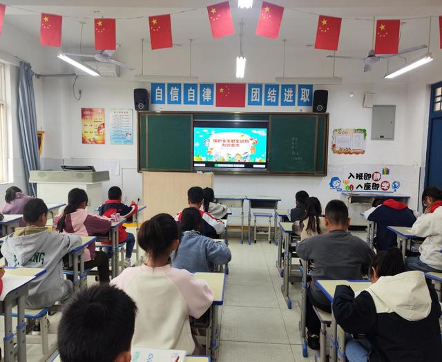 关爱水生野生动物 共建美好和谐生态 灞桥区神鹿坊小学开展“水生野生动物保护活动”(图2)