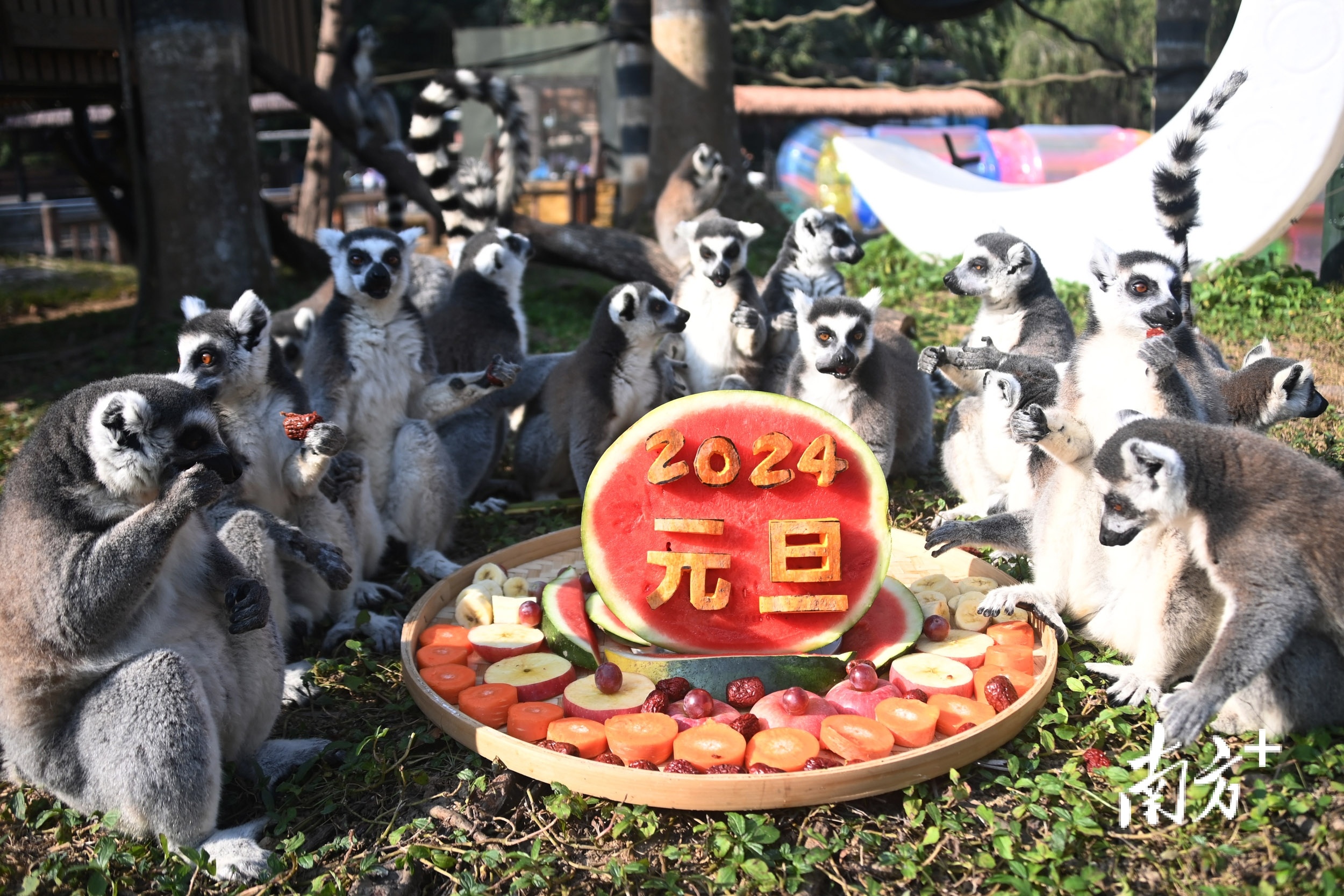 农业农村部、国家濒管办联合启动2024年水生野生动物保护科普宣传月活动(图1)