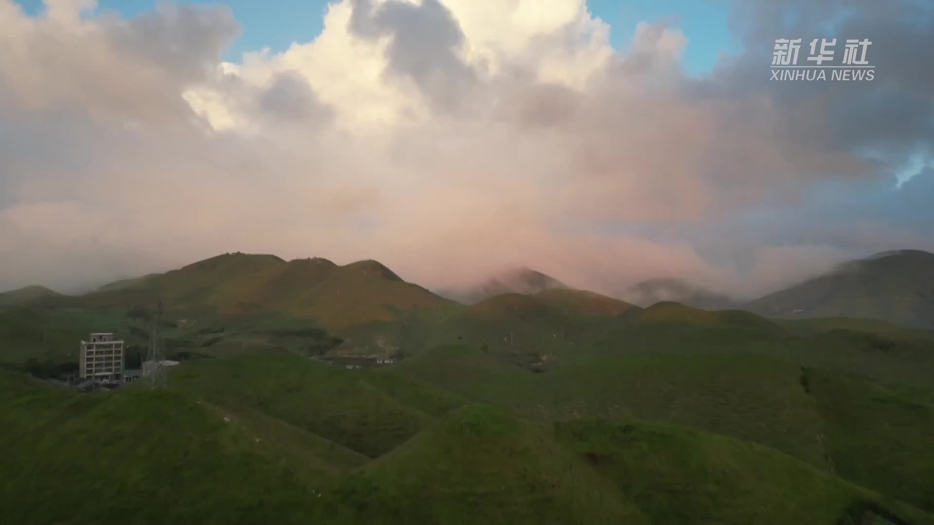 “迁鸟”云集河南多地 珍稀候鸟越冬迎高峰期(图1)