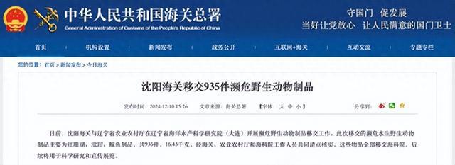 沈阳海关移交935件濒危野生动物制品包括红珊瑚制品、鳄鱼皮包(图1)