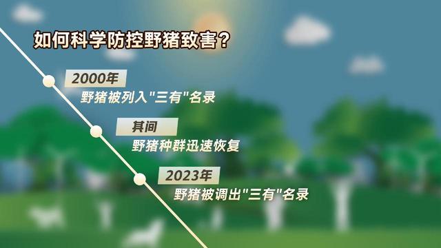 回响·2024：治理的“调和”(图4)