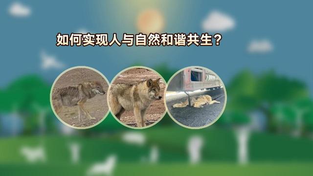 回响·2024：治理的“调和”(图5)