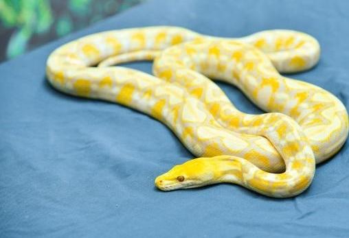 透过数字看2024年我国长江禁渔取得重要阶段性成效 生物多样性恢复向好(图1)