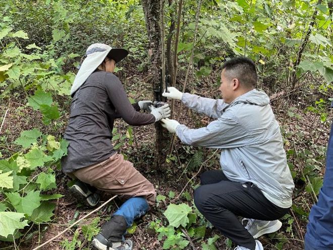 生物多样性 构建野生动物生态廊道重塑城市绿地自然脉络(图2)