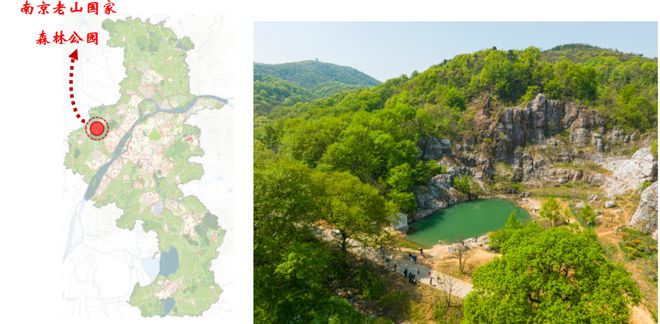 生物多样性 构建野生动物生态廊道重塑城市绿地自然脉络(图1)