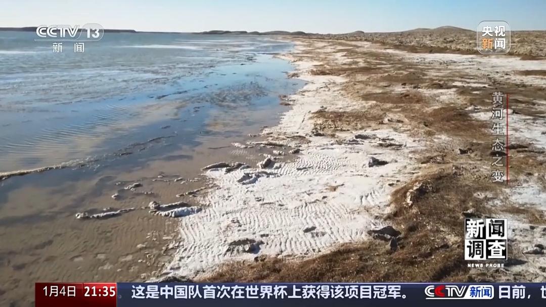 如何了解黄河生态之变？看看山东这些鸟儿就知道(图3)