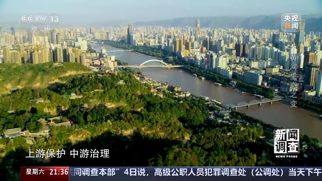 如何了解黄河生态之变？看看山东这些鸟儿就知道(图4)