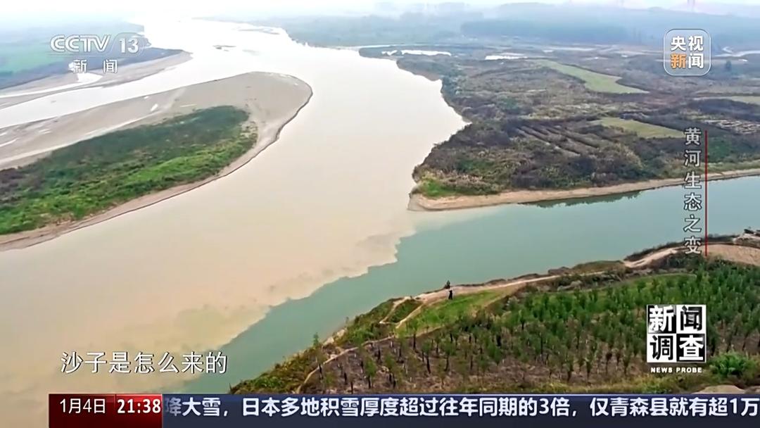 如何了解黄河生态之变？看看山东这些鸟儿就知道(图6)