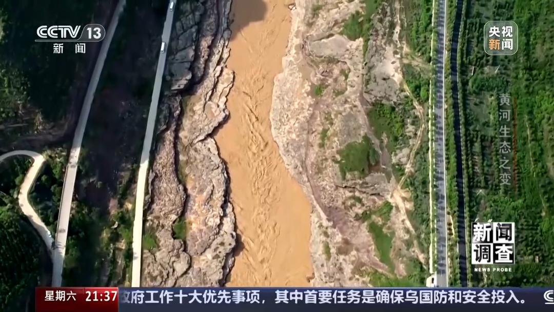 如何了解黄河生态之变？看看山东这些鸟儿就知道(图5)