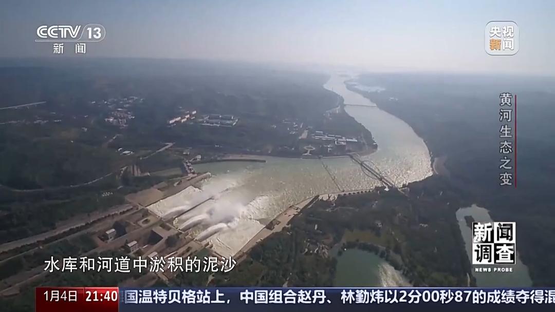 如何了解黄河生态之变？看看山东这些鸟儿就知道(图8)