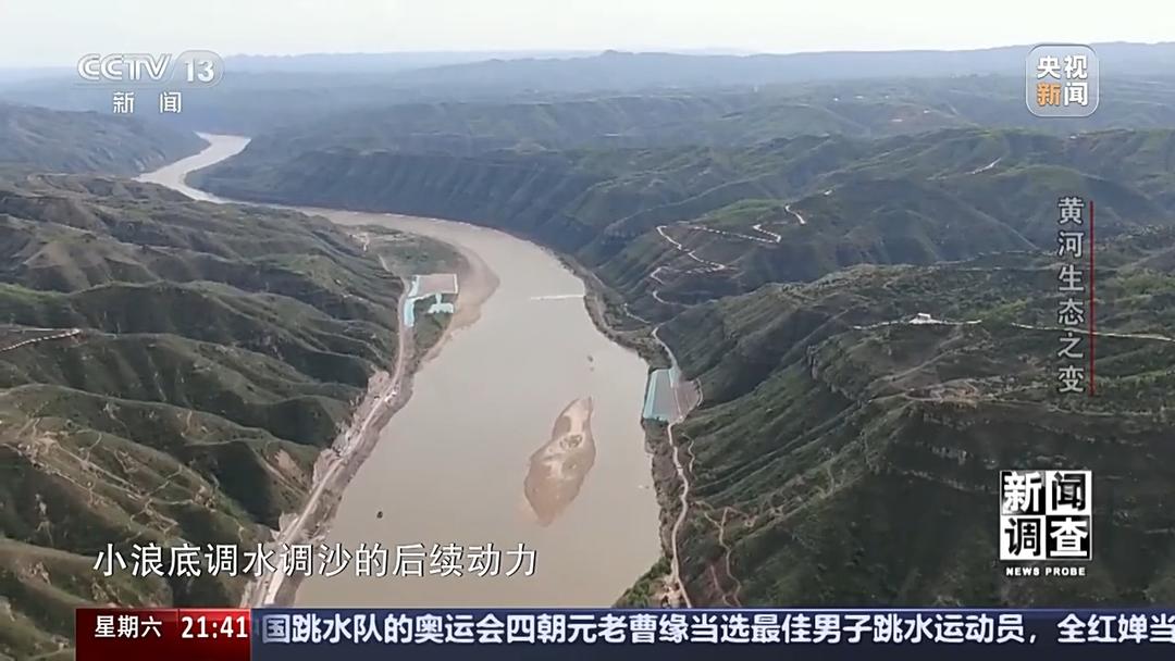 如何了解黄河生态之变？看看山东这些鸟儿就知道(图9)