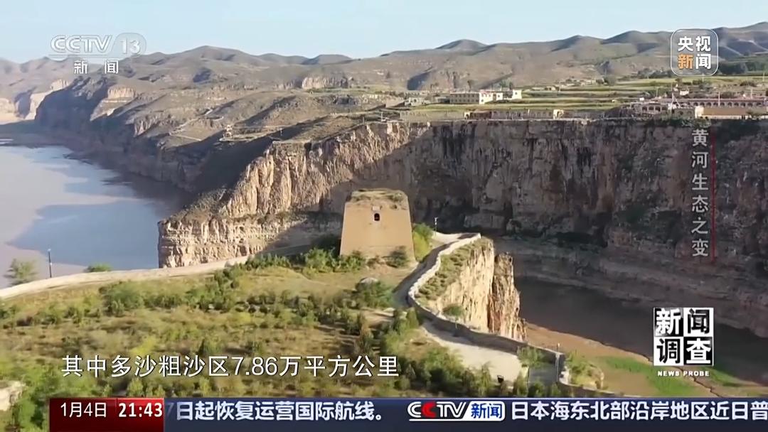 如何了解黄河生态之变？看看山东这些鸟儿就知道(图10)