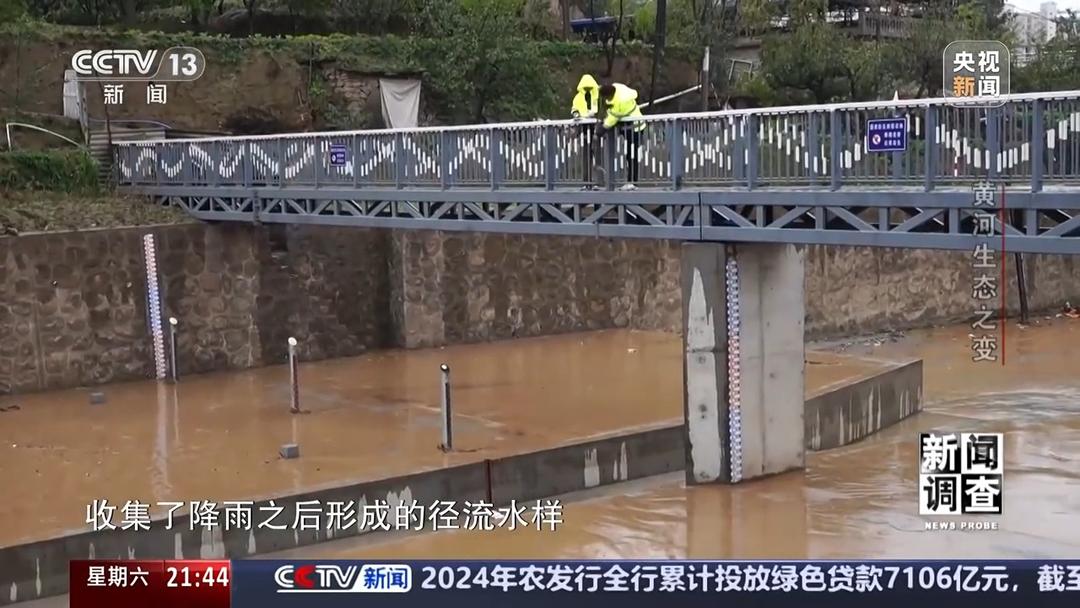 如何了解黄河生态之变？看看山东这些鸟儿就知道(图11)