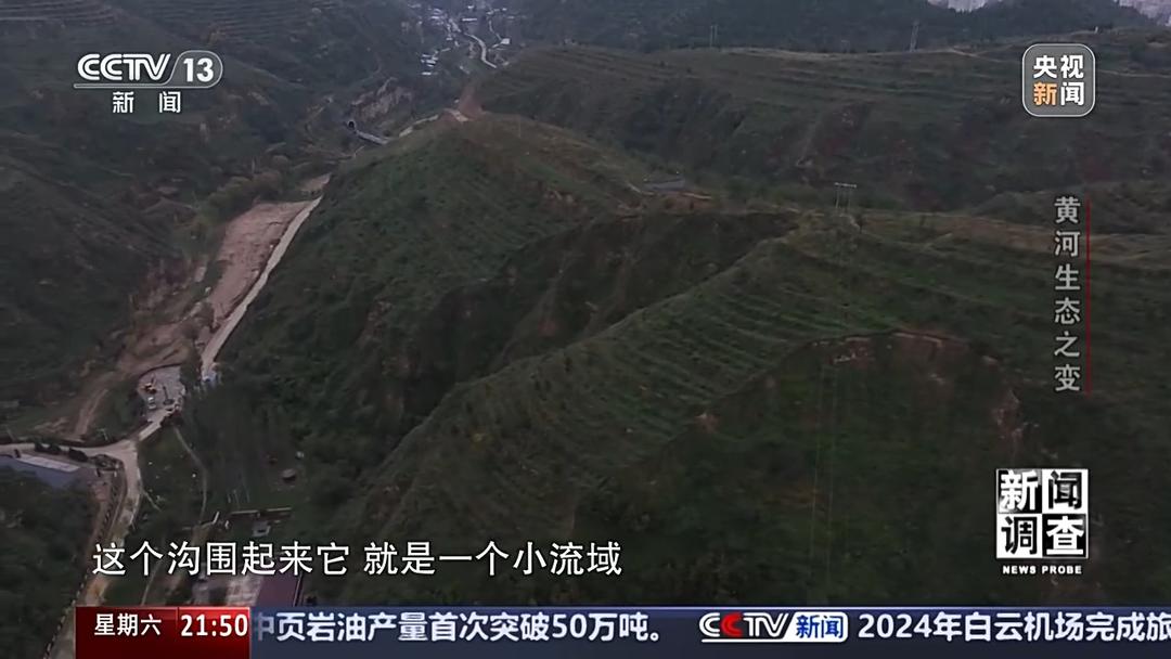 如何了解黄河生态之变？看看山东这些鸟儿就知道(图12)