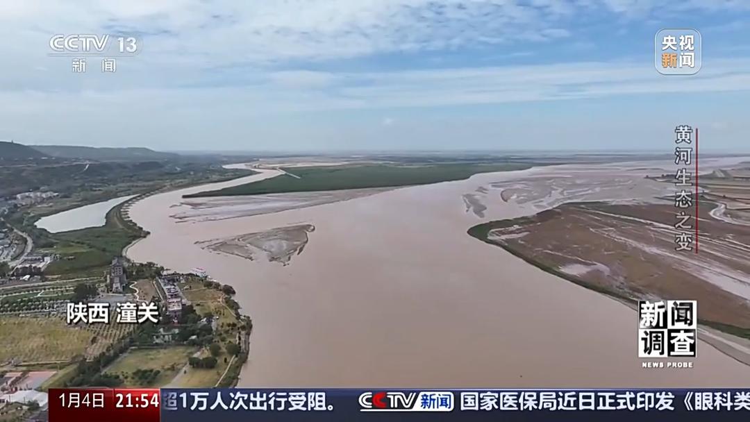 如何了解黄河生态之变？看看山东这些鸟儿就知道(图14)