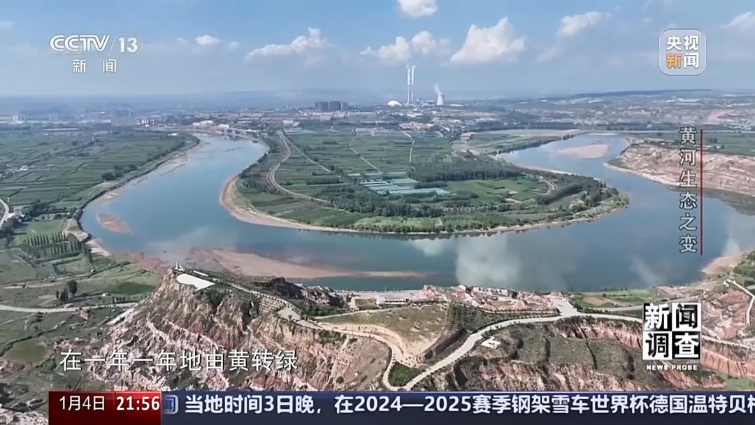 如何了解黄河生态之变？看看山东这些鸟儿就知道(图15)