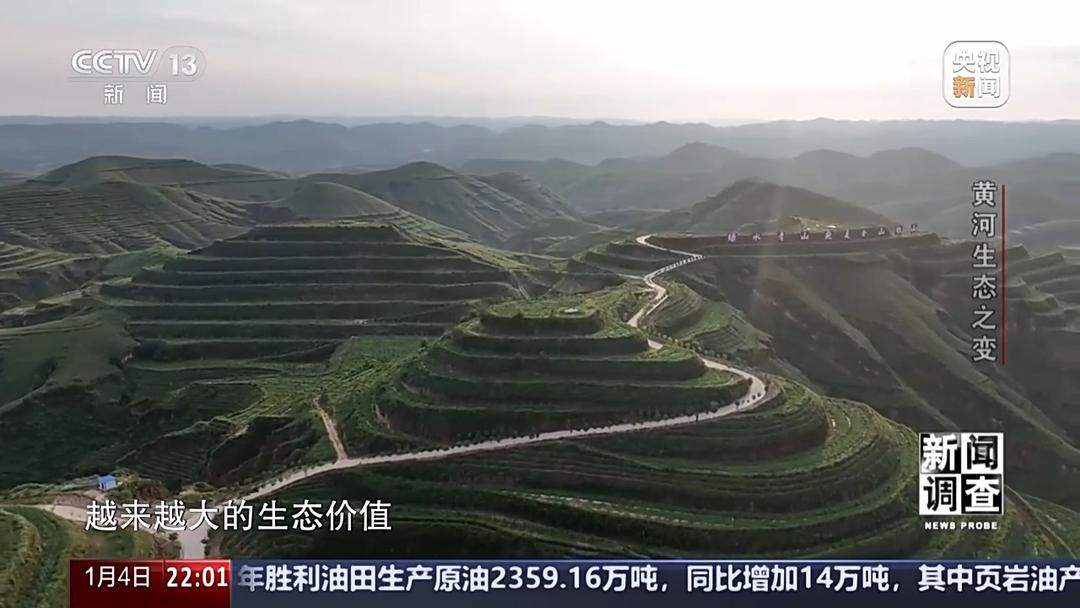 如何了解黄河生态之变？看看山东这些鸟儿就知道(图16)