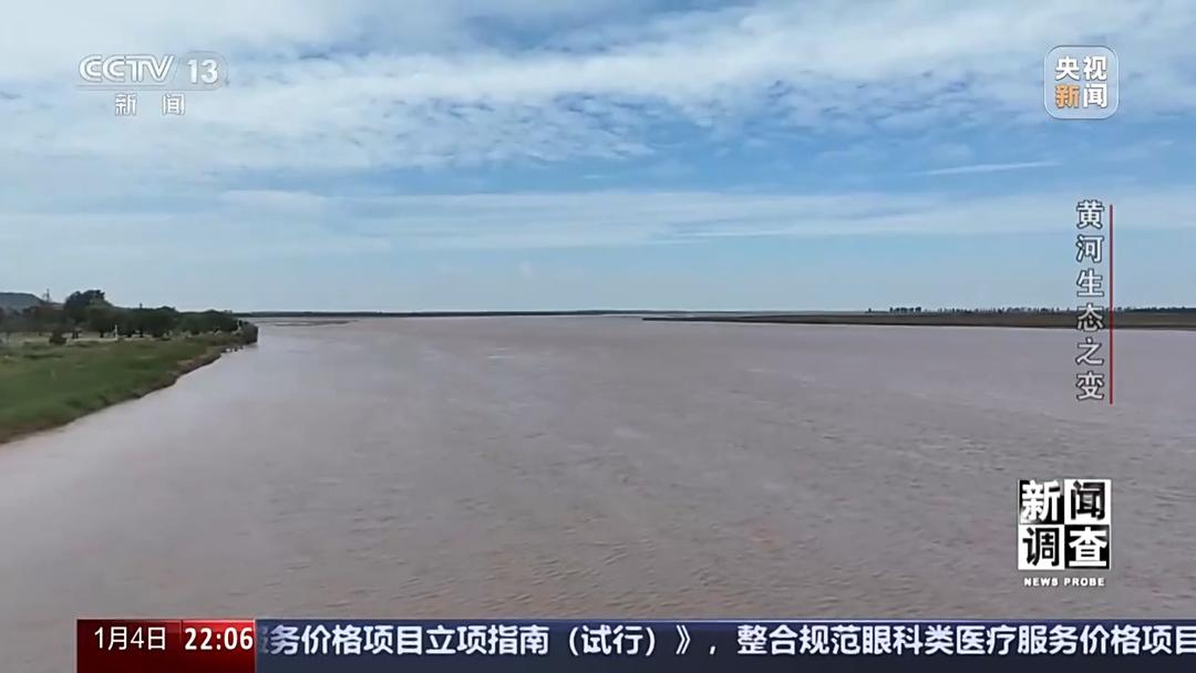 如何了解黄河生态之变？看看山东这些鸟儿就知道(图18)