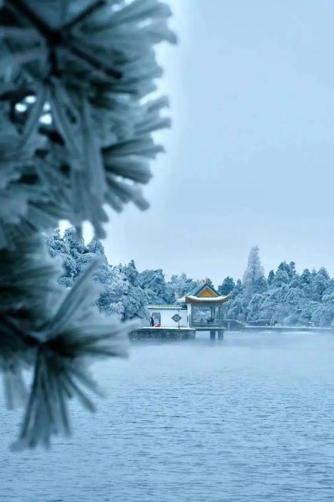 江西罕有的冬韵仙境！庐山赏雪夕阳白鹭5天4晚鄱阳湖观鸟奇旅(图2)