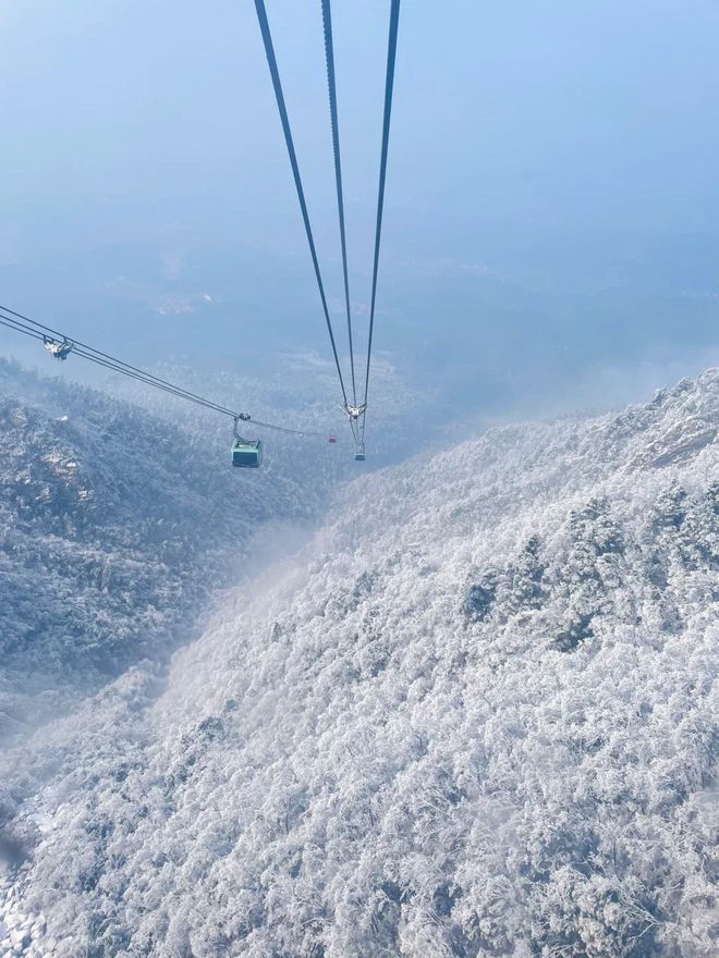 江西罕有的冬韵仙境！庐山赏雪夕阳白鹭5天4晚鄱阳湖观鸟奇旅(图4)