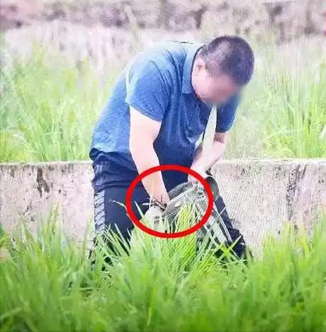 曾在中国被宣布绝迹在四川现身后竟被7人为吃“野味”猎杀？(图9)
