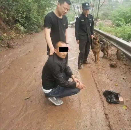 曾在中国被宣布绝迹在四川现身后竟被7人为吃“野味”猎杀？(图10)