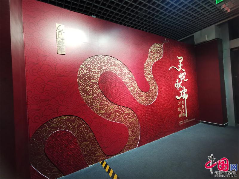近50件蛇类标本展出 2025乙巳蛇年生肖文物大联展在京启幕(图1)