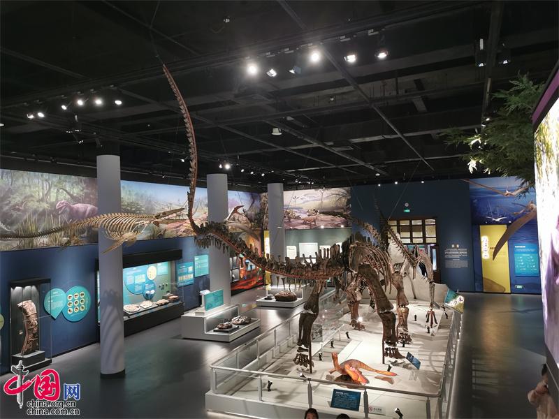 国家自然博物馆开年巨献 “脊椎动物的崛起”展厅升级开展(图1)