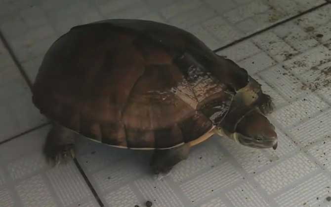 三新漫谈丨圈”出万千气象——2024年度关键词之“圈”(图1)