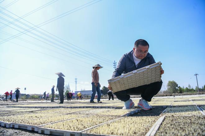 我在现场·照片背后的故事｜2024镜头中的那些故事(图5)