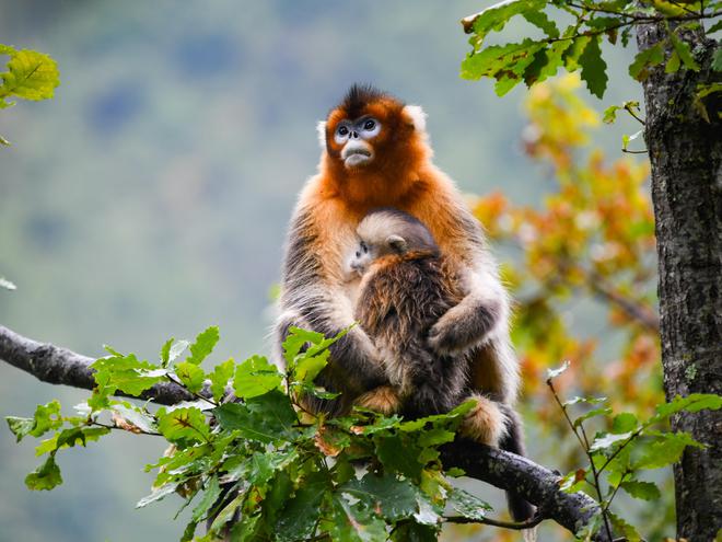 我在现场·照片背后的故事｜2024镜头中的那些故事(图9)