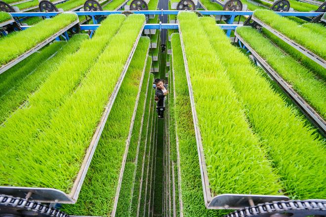 我在现场·照片背后的故事｜2024镜头中的那些故事(图6)