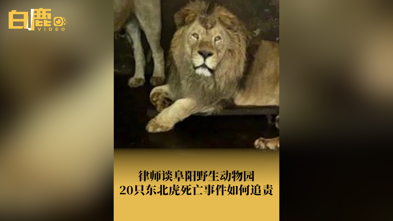 瓯海区开展2024年度水生野生动物保护宣传活动保护宣传活动(图1)