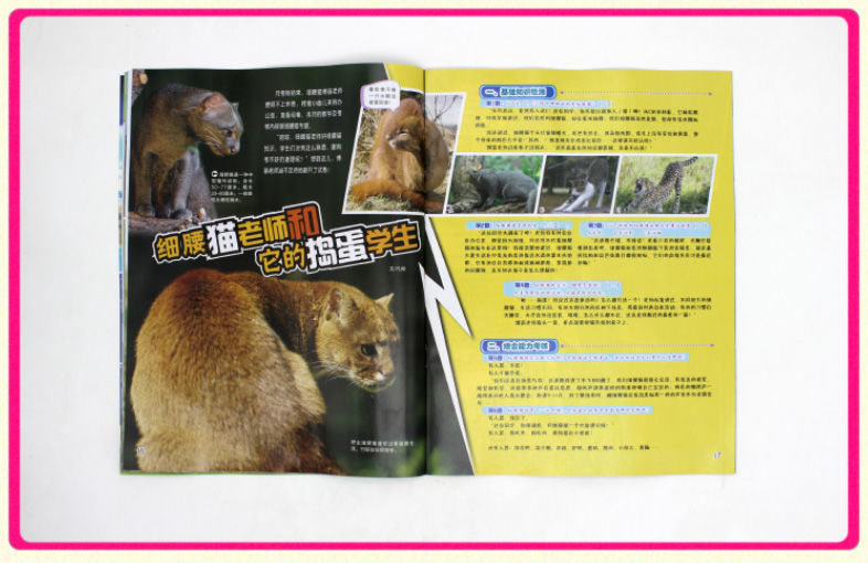 【新闻晚餐】深夜狩猎野生动物叔侄俩双双被查六安喜迎双色球二等奖“双响炮”(图1)