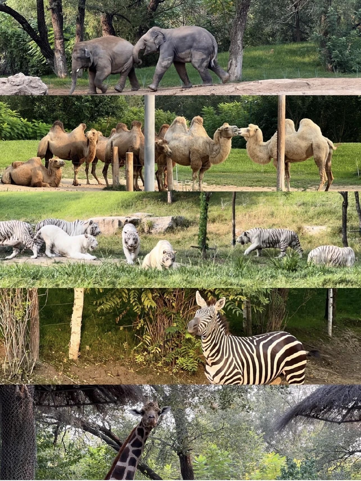 饶二保摄山西日报(图1)