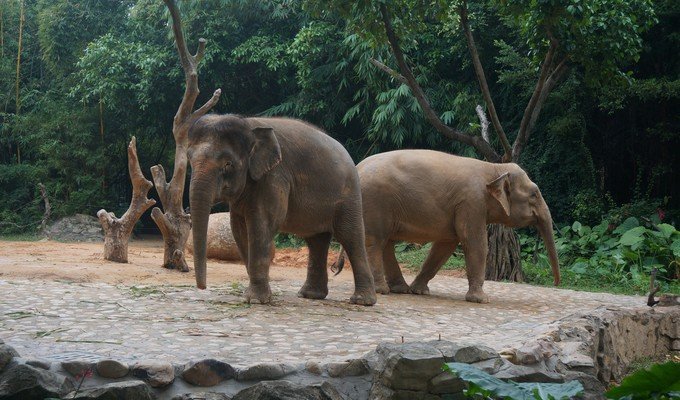 烟台市卫生健康委员会等17个部门关于印发烟台市疟疾等重点寄生虫病综合防治实施方案（2024—2030年）的通知(图1)