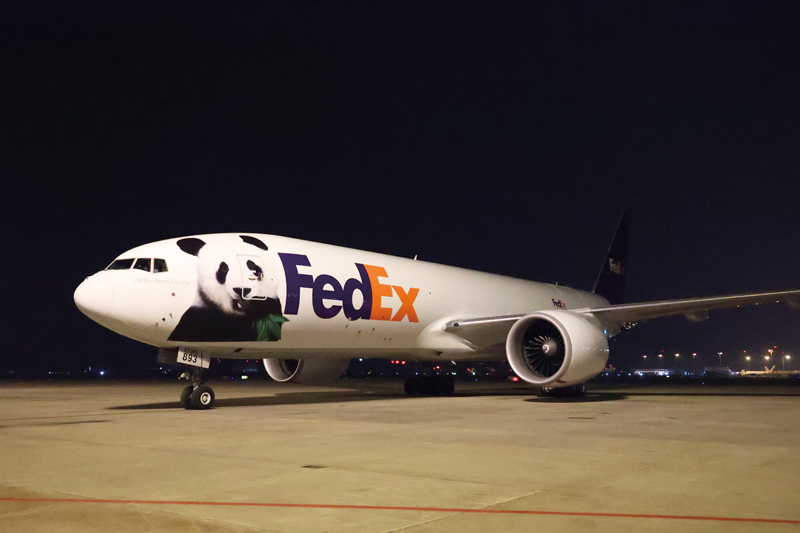 全球携手 共同绘就大熊猫美好家园(图3)