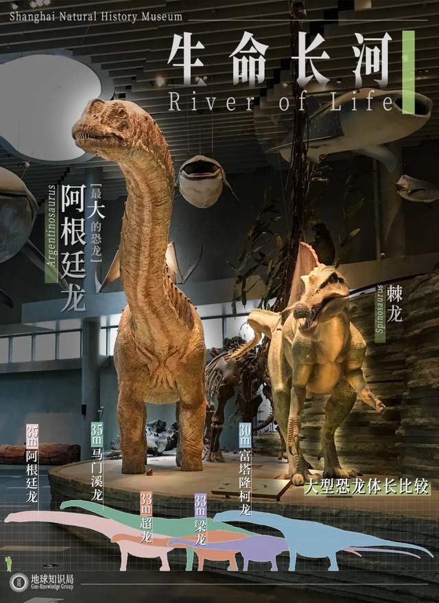 注意了上海出现史前巨兽 地球知识局(图5)