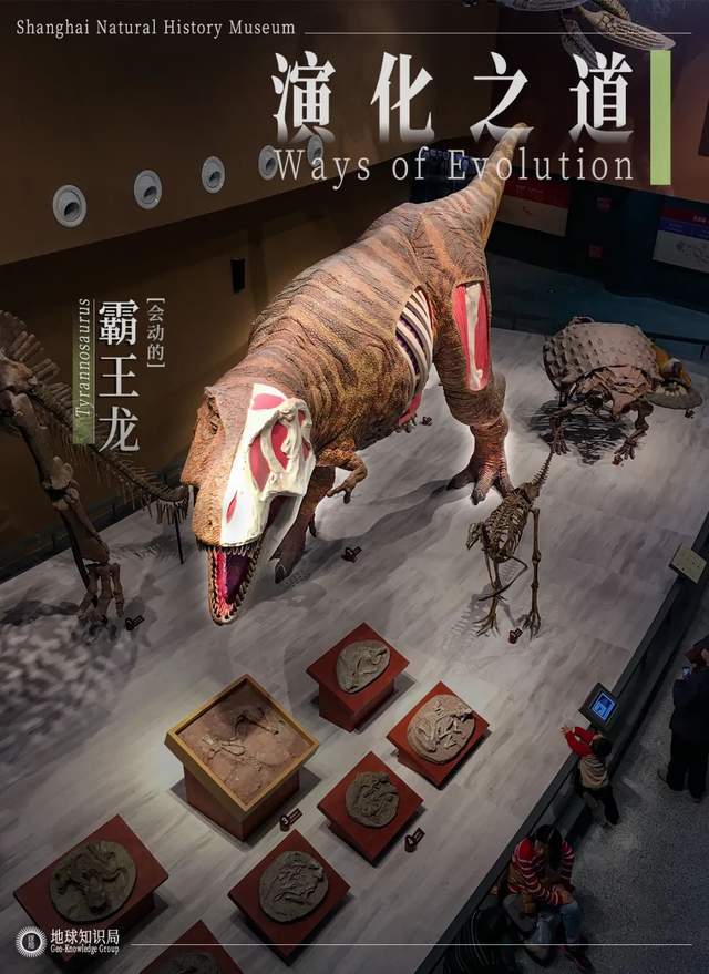 注意了上海出现史前巨兽 地球知识局(图6)