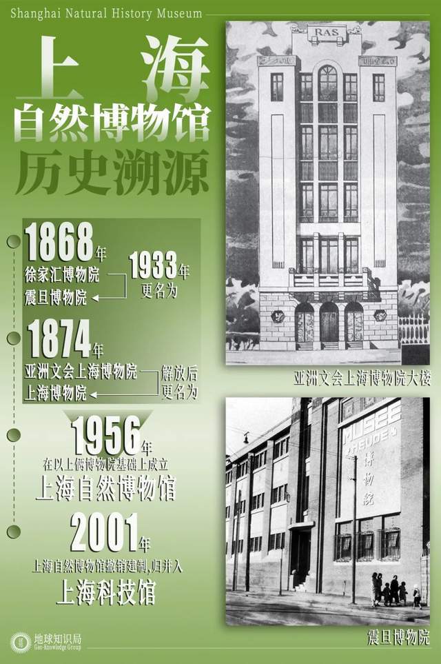 注意了上海出现史前巨兽 地球知识局(图8)