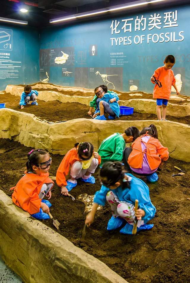 注意了上海出现史前巨兽 地球知识局(图9)