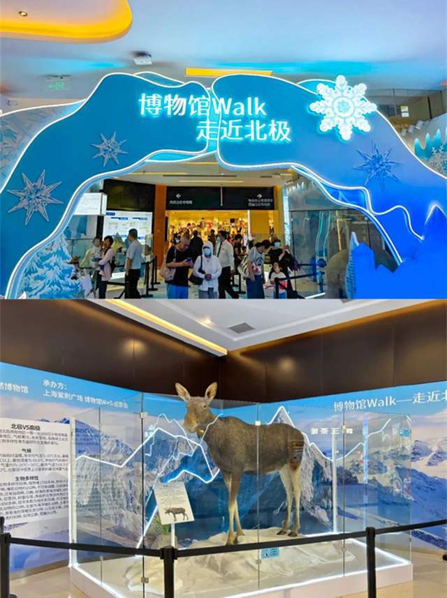 注意了上海出现史前巨兽 地球知识局(图11)