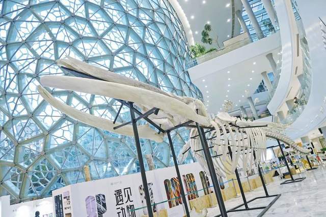 注意了上海出现史前巨兽 地球知识局(图17)