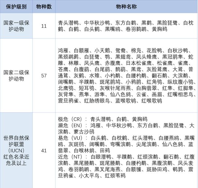 7种！苏州2024年鸟类新记录公布(图5)