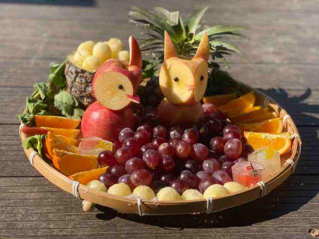 仪式感满满！云南野生动物园小动物花式闹元宵(图1)