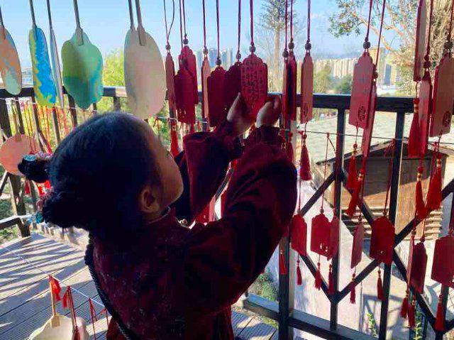 仪式感满满！云南野生动物园小动物花式闹元宵(图7)