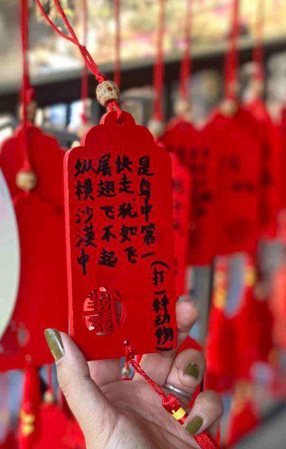 仪式感满满！云南野生动物园小动物花式闹元宵(图8)