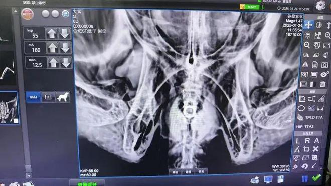 他们让“稀客”变“常客”(图1)